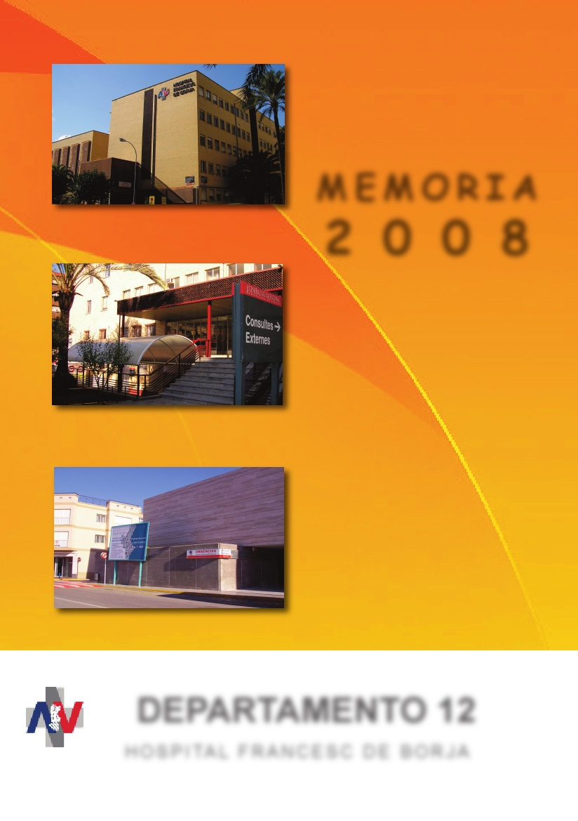 Memoria 2008